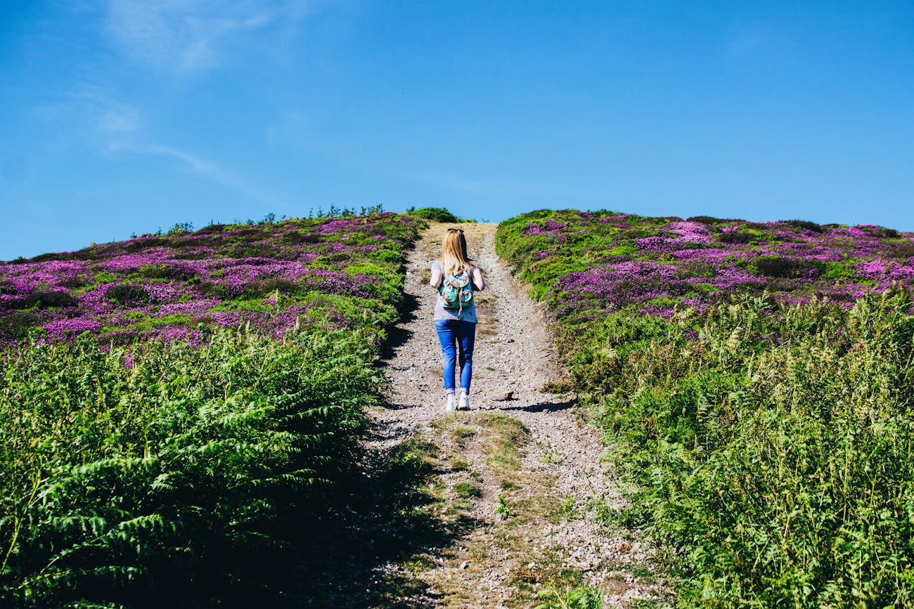 The Economical Factors On Which Lifestyle Is Dependent